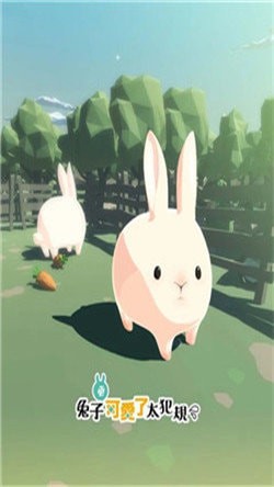 兔子更可爱了太犯规(Cuteness2)