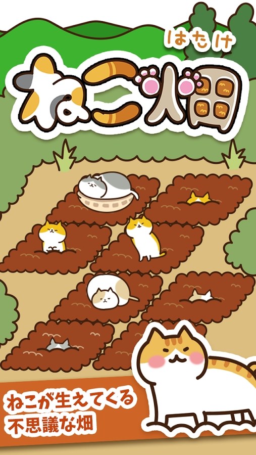猫咪田园(Field of Cats)