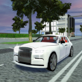 豪华停车场模拟器(Luxury Car Parking Sim)