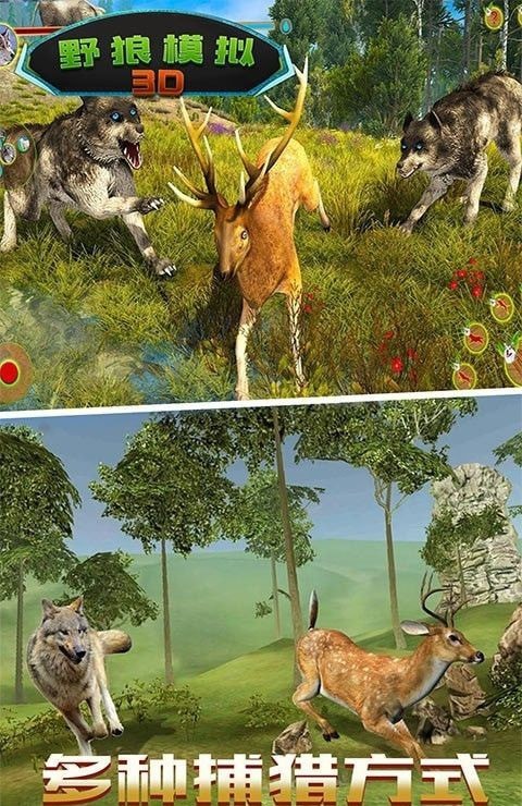 野狼模拟3D