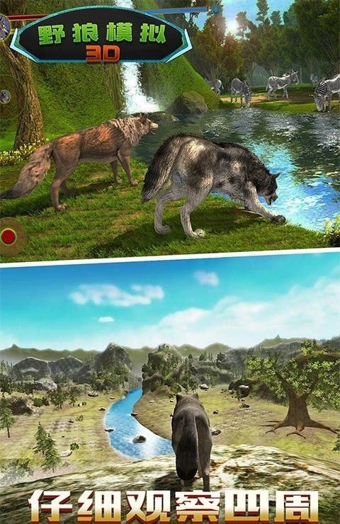 野狼模拟3D