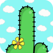 (Cactus, Cactus!)