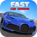  ʻ(Fast Car Driving)