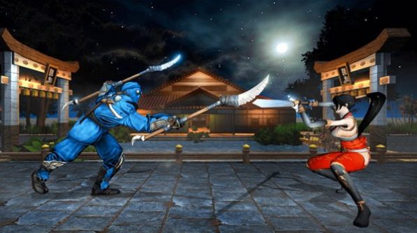 功夫忍者格斗(Kung Fu Ninja fight)