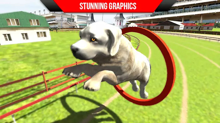狗狗训练3D.jpg