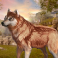 野狼动物模拟器(The Wild Wolf Animal Simulator)