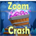 (Zoom Crash)