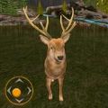¹Ϸǹս(Deer Huter Game: Gun Games)