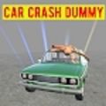 ײ(Car Crash Dummy)