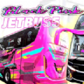 超级印尼巴士车(Bus Telolet Basuri Blackpink)