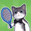 è3D(Tennis Cat 3D)