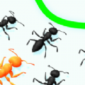 蚂蚁的突袭战(Ant Assault)